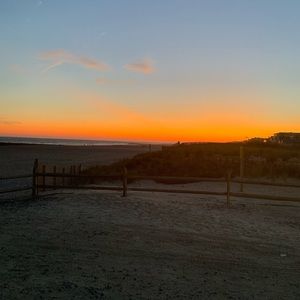 Meet your Posher, Paul